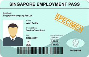 Employment Pass Application